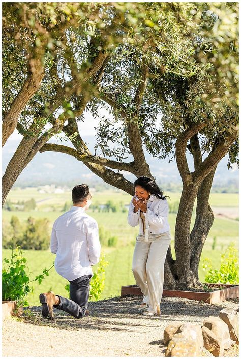 Surprise Proposal at Viansa Winery in Sonoma, California Vineyard Proposal, Winery Proposal, Secret Engagement, Viansa Winery, Sonoma California, Get Engaged, Sonoma Wedding, Cottage Grove, Going To Rain