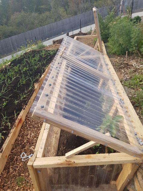 Cold Frame Gardening | Good Life Permaculture Outdoor Greenhouse Ideas, Greenhouse Floor Ideas, Greenhouses Ideas, Studio Greenhouse, Greenhouse Winter, Greenhouse Floor, Greenhouse Interior, Cold Frame Plans, Modern Greenhouse