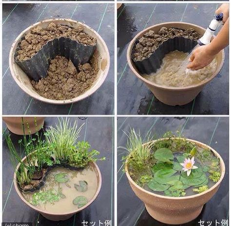 Make a mini pond Pond In A Pot, Diy Garden Landscaping, Homemade Garden Decorations, Mini Pond, Container Water Gardens, Taman Air, House Florida, نباتات منزلية, A Pond