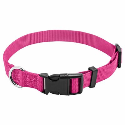 Pet Products, Westminster, Dog Training, Red Dog Collar, Red Collar, Red Dog, Collar Dog, Pink Dog, Pool Patio