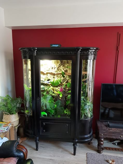 Terrarium Furniture Ideas, Dresser Terrarium, Terrarium Bedroom, Snake Terrarium Ideas Ball Python, Reptile Room Aesthetic, Terrarium Furniture, Terrarium Room, Aquarium Tanks, Fish Tank Terrarium