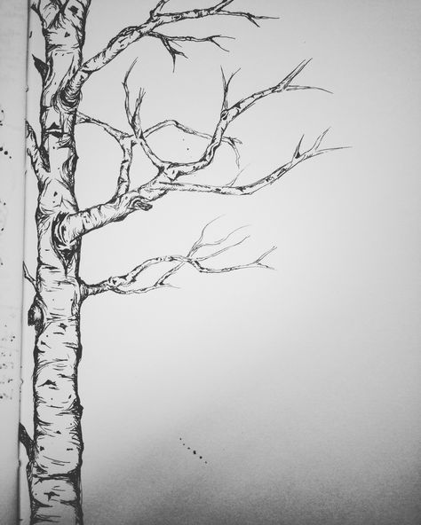 Half Tree Drawing, Eye Tree Drawing, How To Draw Aspen Trees, Tall Tree Drawing, Aspen Drawing, Aspen Tree, Aspen Trees Drawing, Aspen Tree Drawing, Aspen Tree Tattoo Simple