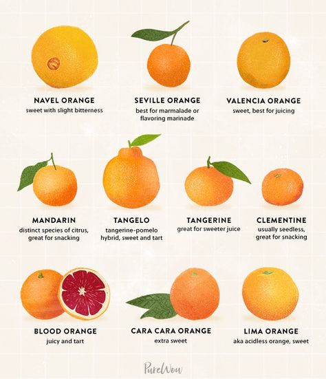 Nature, Oranges Fruit, Types Of Oranges, Orange Food, Orange Cake Recipe, Navel Oranges, Valencia Orange, Juice Flavors, Food Snack