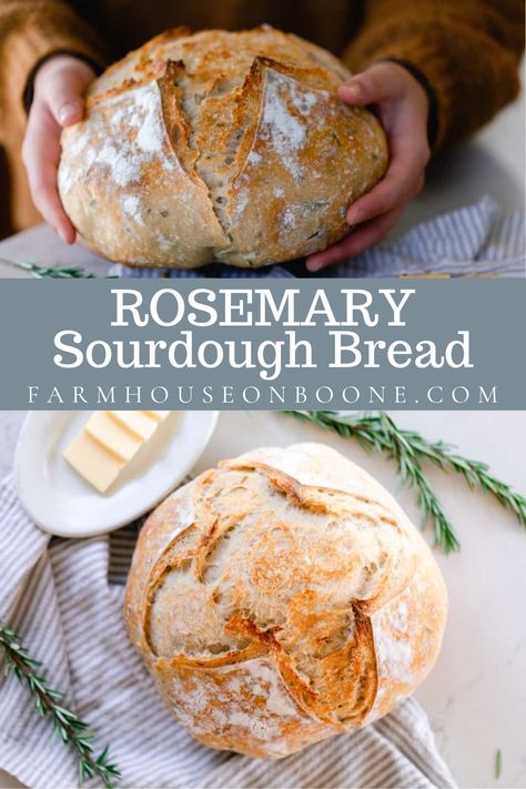 This rosemary sourdough bread recipe is crusty on the outside, chewy on the inside and packed full of rosemary flavor. Fragrant herbs are baked into this glorious round loaf. Sour Dough Bread Recipe Using Starter, Beginner Sourdough, Sourdough Ideas, Homestead Cooking, Beginners Bread Recipe, Easy Sourdough Bread Recipe, Homestead Recipes, Prairie Homestead, Dough Starter