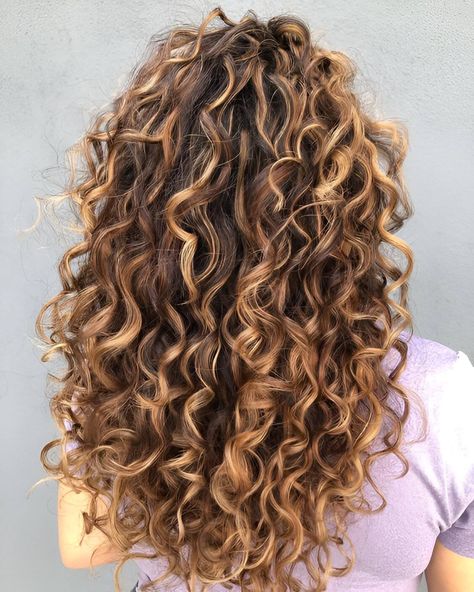 Light Brown Permed Hair, Curly Golden Highlights, Curly Honey Highlights, Dimensional Highlights Curly Hair, Caramel Blonde Highlights Curly Hair, Honey Highlights On Brown Hair Curly, Brown Hair Highlights Curly, Curly Honey Brown Hair, Honey Highlights Curly Hair