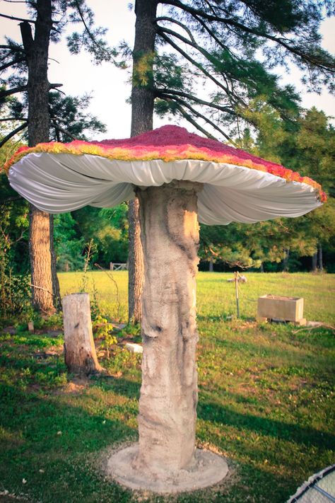 I originally built these Giant Mushrooms for my annual Halloween walk-through but they also serve as wonderful decor pieces at music festivals, weddings and a variety of special events. They range in a variety of sizes from 5ft to 10ft tall. They are made of wood, chicken wire, electrical conduit, 2 part spray foam, spandex and l.e.d. lighting. Alice In Wonderland Mushroom, Takken Decor, Alice In Wonderland Garden, Giant Mushroom, Decoration Vitrine, Mushroom Crafts, Garden Mushrooms, Alice In Wonderland Theme, Alice In Wonderland Tea Party