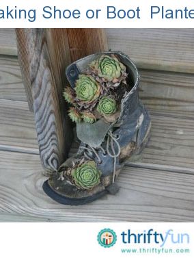 This is a guide about making shoe planters. Old shoes make interesting planters for your yard and garden. Boot Planters Diy, Craft Nights, Boot Planter, Memory Garden, Unusual Planter, Creative Planter, Succulent Gardens, Old Boots, Planter Ideas