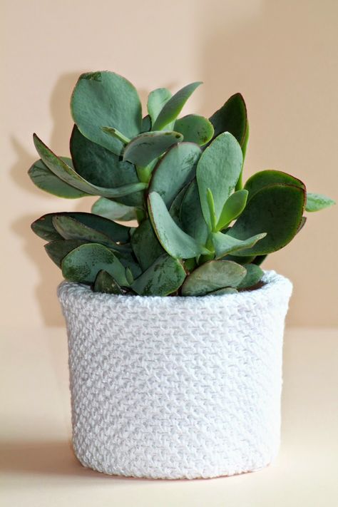 Cache- pot blanc - tuto Pot Crochet, Cache Pot, Diy Knitting, Planter Pots, Knitting, Crochet, Plants, Green