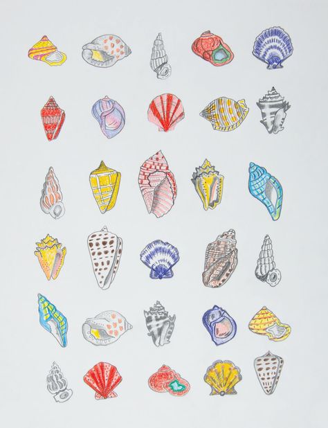 This colorful seashell art print is the perfect addition to any room. This composition is titled "Home" and comprises 30 beautiful shells in a portrait orientation. All prints are printed on White Linen 80lb Cover Paper. All prints fit a standard 11x14 Frame. No frame nor matting are included. More about the Shelter series: My series "Shelter" comprises six compositions, with the first of the same name. The works are rooted in the comfort of home--a safe, warm, and loved feeling. Home--a place that provides solitude, escape, hiding, and healing.  In 2023, I lost my mother and also became a mother for the second time. My intangible home, shelter, and place of comfort were gone--yet simultaneously, I was providing this for my new baby. Through this, I learned that two things can be true at o Seashell Tattoo Color, Coloring Seashells, Shelter Series, I Lost My Mother, Seashell Drawing, Home Shelter, Colored Pencil Art Projects, Seashell Tattoos, Small Chest Tattoos