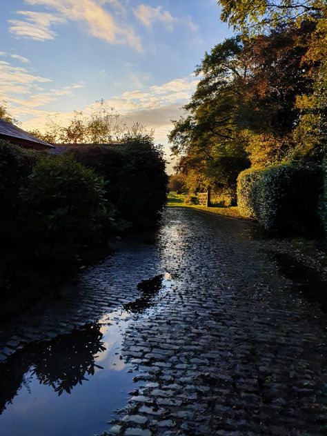 Alderley Edge, Trees, London, Drawings, Water