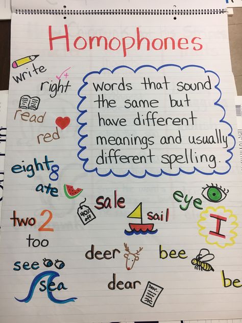 English Homophones, Homophones Anchor Chart, First Grade Homeschool, Plant Classroom, Grammar Anchor Charts, Teach Phonics, Classroom Charts, Grammar For Kids, Classroom Anchor Charts