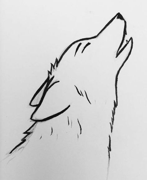 Wolf Drawing Ideas, Drawing Wolf, Wolf Drawings, Cute Wolf, Wolf Designs, Wolf Photography, Photography Wildlife, Wolf Drawing, Wolf Design