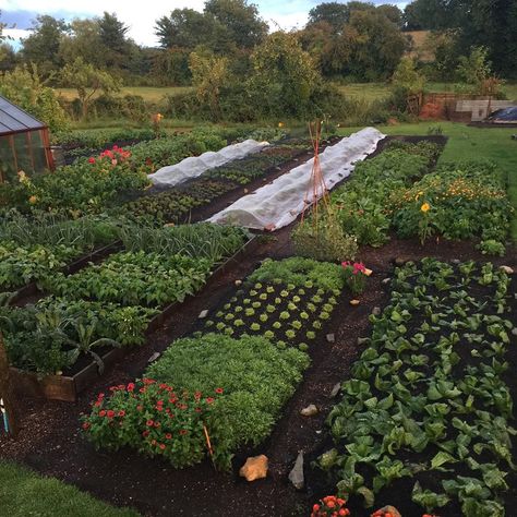 Vegetable Garden Path Ideas, Garden Design With Vegetable Patch, Back Garden Vegetable Patch, Charles Dowding, Hoggin Path Garden, Raised Bed Permaculture Garden, Dream Backyard Garden, Market Garden, Farm Lifestyle