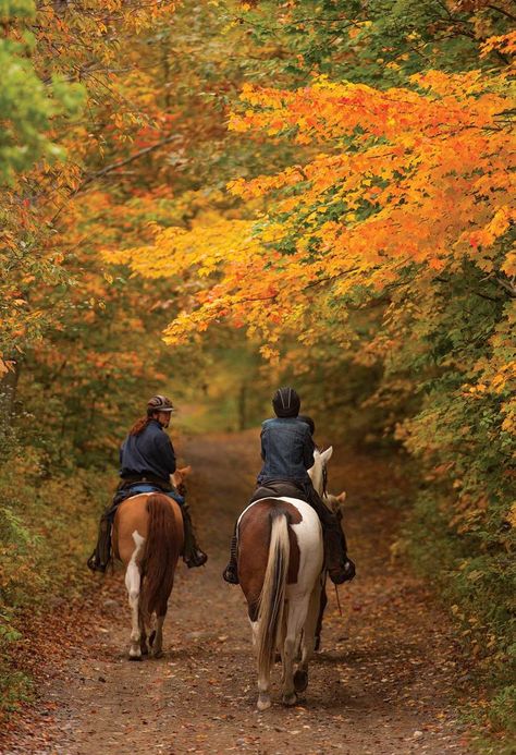 Horseback Riding Aesthetic, Trail Riding Horses, Horse Riding Quotes, Horseback Riding Outfits, Horse Riding Tips, Horse Trail, Guest Ranch, Cool Weather, Autumn Scenery