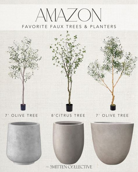 Phimos 7FT Artificial Olive Tree … curated on LTK Olive Trees Landscape Front Yards, Large Faux Plants, Indoor Olive Trees In Pots, Olive Tree Decor Ideas, Olive Tree Pot, Olive Tree Planter, Potted Trees Patio, Olive Trees In Pots, Sweet Olive Tree