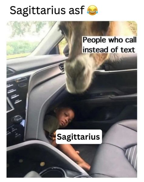 Sagittarius Core, December Sagittarius, Sagittarius Vibes, Sagittarius Funny, Sagittarius Baby, Funny Texts Pranks, Gay Quotes, Zodiac Sagittarius Facts, Sagittarius Constellation