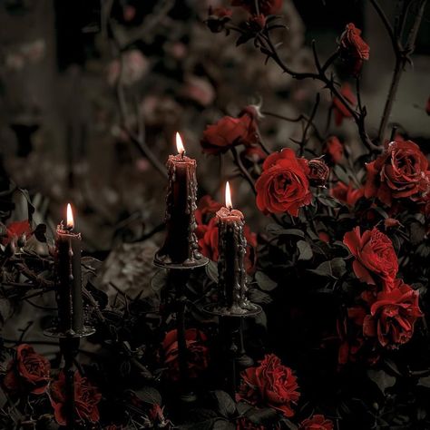 Dark Romantic Goth Aesthetic, Dark Regal Aesthetic, Red And Black Asthetics Photos, Tremere Aesthetic, Red Ghost Aesthetic, Dark Rose Aesthetic, Red And Black Goth Aesthetic, Decadence Aesthetic, Black And Red Gothic Aesthetic