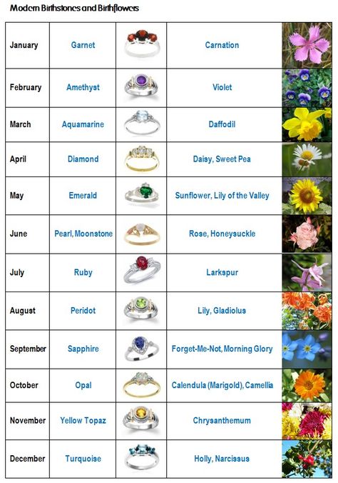 August+Birth+Month+Flower | Birth stones and birth flowers - Kiwi Families Flower Of The Month Chart, Flower Meanings Chart, Flower Facts, Stones Tattoo, Tattoo Chart, Birthday Month Flowers, Birth Stones Chart, Birth Stones, Soya Mumu