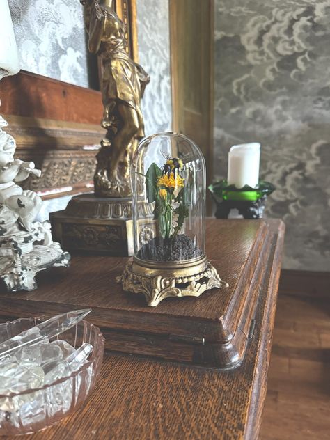 Handmade Bumble Bee and Dandelion Scene in Glass Cloche with Vintage Base by bydustin on Etsy Fluffy Bumble Bee, Transparent Wings, Metal Lamp Base, Glass Lamp Base, The Dandelion, Glass Cloche, Metal Lamp, The Bee, Wild Flower