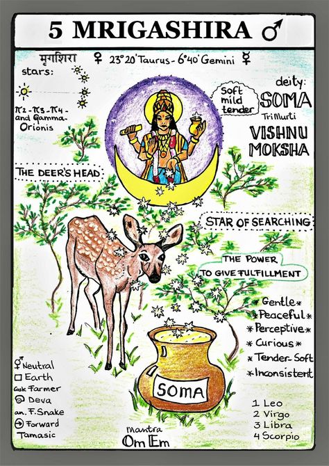 Vedic Astrology Charts, Hindu Vedas, Medical Astrology, Astronomy Constellations, Moon Astrology, Jyotish Astrology, Astrology Remedy, Astrology Planets, Astrology Books