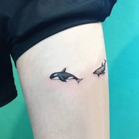 Killer Whale Tattoo, Dolphin Tattoo, Targaryen Tattoo, Orca Tattoo, Whale Tattoo, Dolphins Tattoo, Hamsa Tattoo, Vegan Tattoo, Whale Tattoos