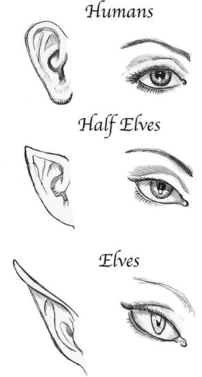 Half-elf | Forgotten Realms Wiki | Fandom Elf Drawings, Creaturi Mitice, Half Elf, Desen Realist, Siluete Umane, 얼굴 그리기, 인물 드로잉, Pencil Art Drawings, Anime Drawings Tutorials