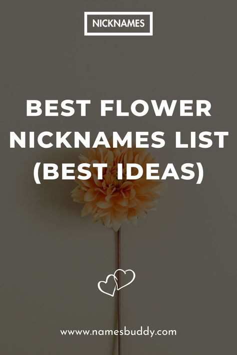 Best Flower Nicknames Nature Nicknames, Flower Nicknames, Michaelmas Daisy, Allium Flowers, Good Nicknames, Freesia Flowers, Arum Lily, Buttercup Flower, Cute Nicknames