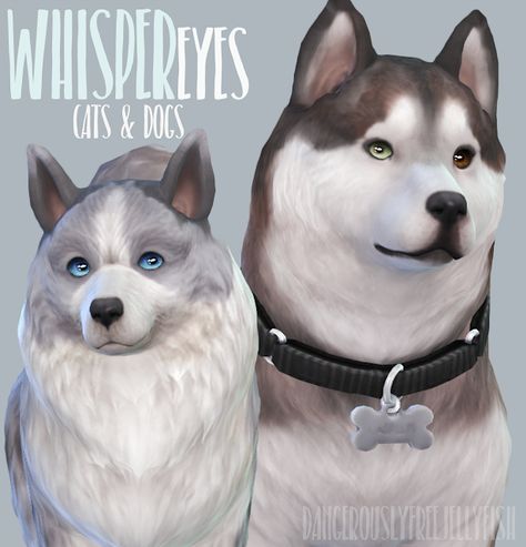 Sims 4 | Whisper Eyes for Cats & Dogs EP05 Pet Dog Pictures, Sims Pets, Sims 4 Cc Eyes, Sims 4 Cc Shoes, Lps Pets, Sims 4 Cc Folder, Sims 4 Mm, Sims 4 Collections, Sims 4 Cas