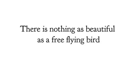 Fly Quote, Life Lesson, Lesson Quotes, Life Lesson Quotes, Birds Flying, Beautiful Birds, Life Lessons, Tattoo Ideas, Birds