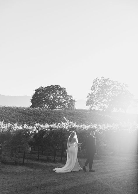 Wedding At Vineyard, Winery Elopement, Winery Wedding Ceremony, Modern Vineyard Wedding, Intimate Vineyard Wedding, Winery Wedding Fall, Wedding Photography Outdoor, Vineyard Wedding Ceremony, Vineyard Ceremony