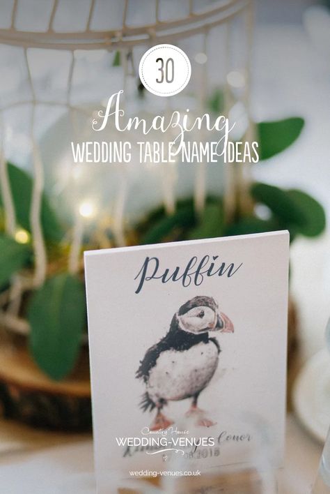 30 Amazing Wedding Table Name Ideas | CHWV Wedding Table Name Ideas, Table Name Ideas, Bird Themed Wedding, Wedding Table Name, Wedding Trivia, Wedding Table Themes, Lake District Wedding, Country House Wedding Venues, Zoo Wedding