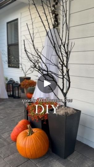 2K views · 355 reactions | 🕷️ DIY Spooky Halloween Tree 🕷️  Before we dive in—tap that follow button for more budget-friendly holiday decor inspo! 🎃  You can find similar spooky trees at Pottery Barn, West Elm, or Grandin Road, but they come with a hefty price tag. No need to break the bank to get this eerie vibe! I’m showing you how to recreate this look for under $15 RIGHT HERE 👇🏼  What you’ll need:  • Oversized dead branch • Black spray paint • Battery-operated twinkle lights • Craft foam ball or floral foam • An old planter  Steps:  1. Remove any remaining leaves if your branch isn’t fully dried out. 2. Spray paint the branch black (Optional: Add glitter or use black glitter paint for extra flair!). 3. Add dirt or sand to the bottom of your planter for stability. 4. Insert floral Spooky Halloween Tree, Spooky Trees, Craft Foam, Halloween Tree, Diy Tree, Black Spray Paint, Light Crafts, Branch Decor, Grandin Road