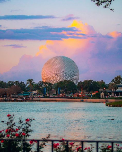 Disney World Aesthetic, Disney Poses, Disney Photo Ideas, Disney World Pictures, Disney World Epcot, Disney Background, Cute Disney Pictures, Disney Collage, Disney World Florida