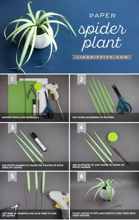 ขวดโหล Mason Jar, Paper Spider, Dollhouse Miniature Tutorials, Spider Plant, Paper Plants, Dollhouse Miniatures Diy, Miniature Plants, Mini Plants, Dollhouse Ideas