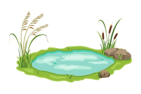 Pond with reed and sedge vegetation. Vector illustration of swamp with grass on white background. Wild thickets near the lake Pond Clipart, Pond Illustration, Pond Background, Cute Panda Wallpaper, Background Drawing, Cityscape Photos, The Pond, Nature Backgrounds, Photo Template