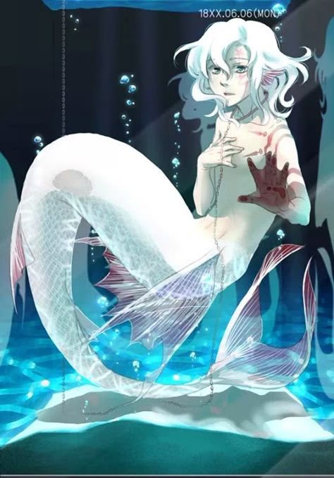 D. Gray-Man Allen (merman) Scary Mermaid, Mermaid Drawing, Anime Mermaid, Allen Walker, Mermaid Drawings, Mermaids And Mermen, D Gray Man, Gray Man, Mythical Creatures Art