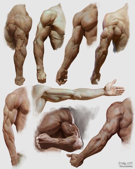 ArtStation - Study of arms Arm Anatomy, 남성 근육, Arm Drawing, Rendering Techniques, Man Anatomy, Life Drawing Reference, Anatomy Sculpture, Anatomy Tutorial, Human Anatomy Drawing