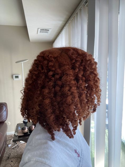 Auburn Curly Hair Black Women, Brown Ginger Hair Black Women, Ginger Brown Hair Black Women, Brown Ginger Hair Color, Dark Ginger Hair Black Women, Ginger Brown Hair Color, Ginger Brown Hair, Braid Out Natural Hair, Adore Hair Dye