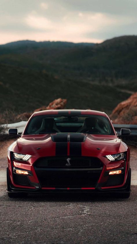 Aesthetic Cool, Ford Mustang Shelby Gt500, Car Aesthetic, Shelby Gt500, Ford Mustang Shelby, Mustang Shelby, Ford Mustang, Cool Cars, Mustang