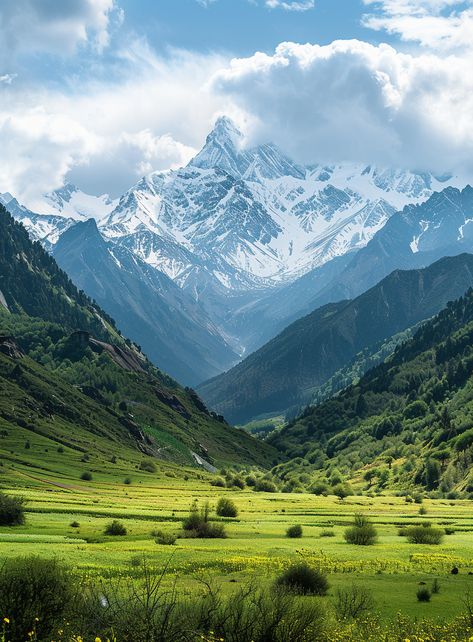 Snowcapped Mountains and Green Grasslands of K Notebook Snowcapped Mountains, Nikon Cameras, Inspirational Digital Art, Natural Landscapes, Beauty Devices, Camera Nikon, Nikon Photography, Action Poses, Professional Photography