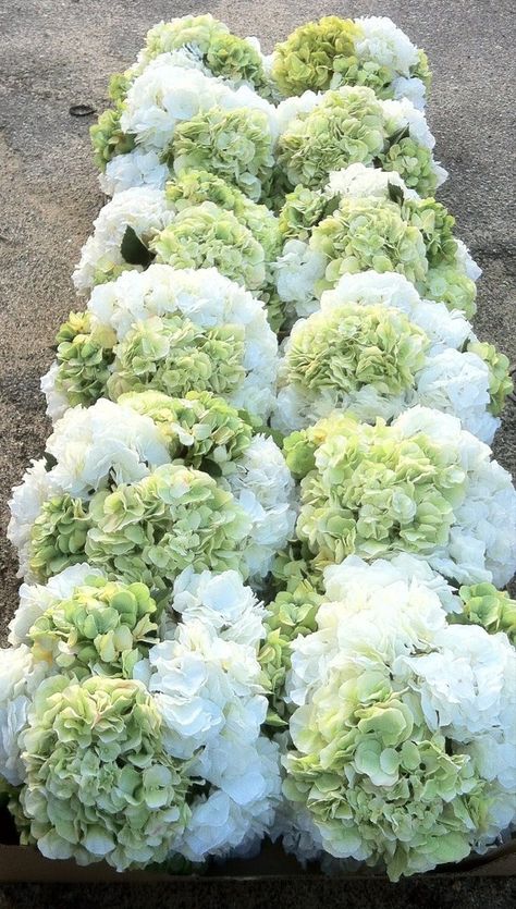 Green Hydrangea Centerpiece, Hydrangea Centerpiece Diy, Green Hydrangea Wedding, Hydrangea Bridesmaid Bouquet, White Hydrangea Centerpieces, Wedding Flowers Hydrangea, Hydrangea Centerpiece, Hydrangea Bouquet, Hydrangeas Wedding