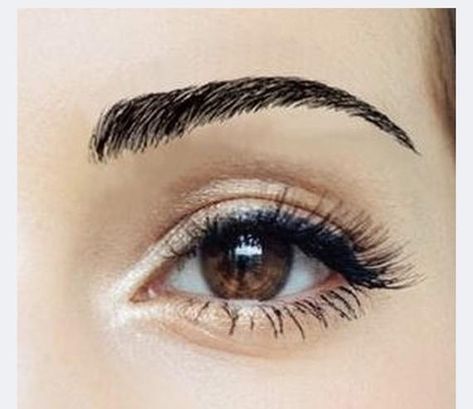 False Eyebrows, Tattoo Eyebrows, Beautiful Definitions, Types Of Eyebrows, Rough Night, Megan Brown, Beauty Eyebrow, Permanent Cosmetics, Full Brows