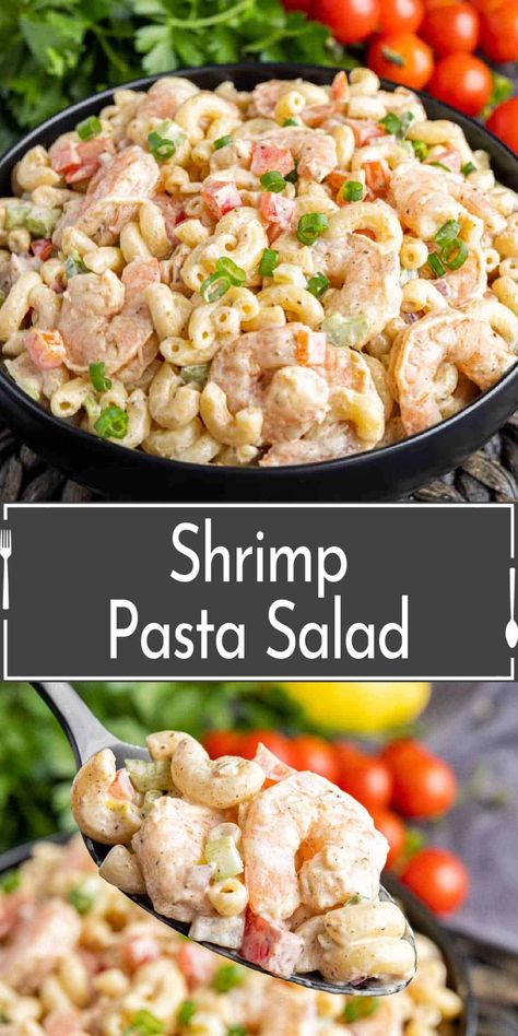 Shrimp Pasta Salad Recipes With Old Bay, Shrimp Macaroni Salad With Old Bay, Old Bay Shrimp Pasta Salad, Bbq Shrimp Salad, Shrimp Pasta Salad Recipes Cold Old Bay, Shrimp Macaroni Salad Recipe, Shrimp And Pasta Salad Recipes, Pasta Salad Recipes With Shrimp, Shrimp Pasta Recipes Cold