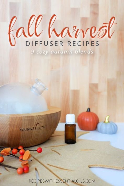 9 Fall Harvest Diffuser Blend Recipes Clean Fall Diffuser Blends, Young Living Fall Diffuser Blends, November Diffuser Blends, Diffuser Blends Young Living, Fall Essential Oils, Fall Diffuser Blends, Time In Nature, Spa Business, Harvest Recipes