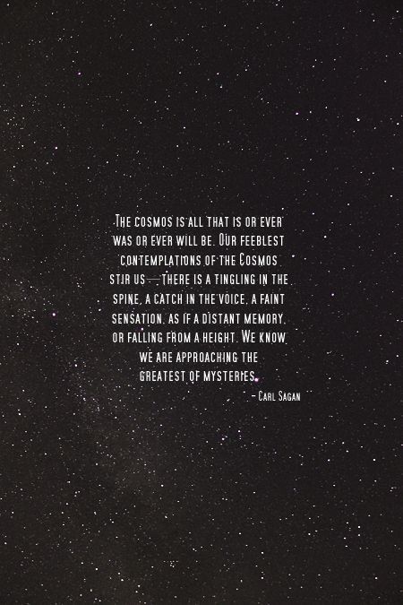 Quotes About Space, Cosmos Quotes, Astronomy Quotes, Carl Sagan Cosmos, Space Quotes, Distant Memory, Star Quotes, Universe Quotes, Neural Network