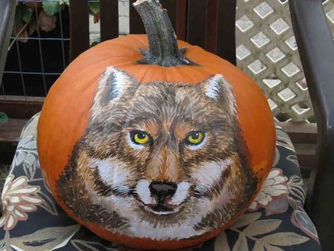 Wolf Pumpkin, Wolf Paintings, Halloween Wolf, Painting Pumpkin, Wolf Painting, Halloween Time, Painted Pumpkins, Wolves, Pumpkin Carving