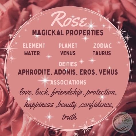 Rose Properties Magic, Rose Incense Meaning, Rose Magical Properties, Rose Spiritual Meaning, Witchy Ingredients, Herb Meanings, Glamour Magick, Rose Goddess, Goddess Magick