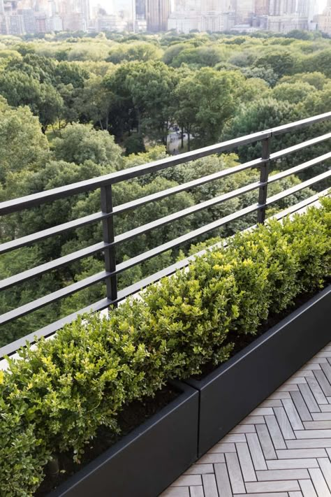 Garden Designer Visit: A Manhattan Terrace with Panoramic Central Park Views - Gardenista Rooftop Railing, Minimalist Terrace, Balau Decking, Balcony Decking, Balcony Apartment, Garden Railings, Central Park View, Terrace Garden Ideas, Roof Garden Design