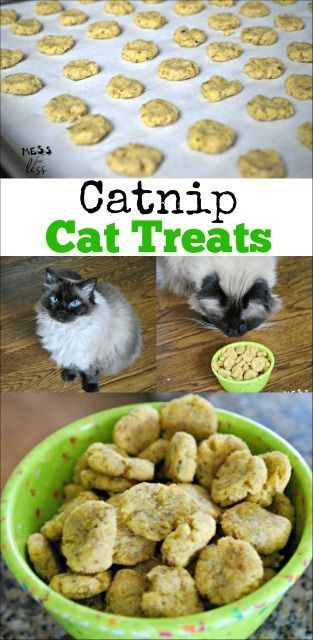 Diy Cat Treats, Catnip Treats, Pet Recipes, Homemade Pet Treats, Pet Treats Recipes, Chat Diy, Kat Diy, Homemade Cat Food, Catnip Cat