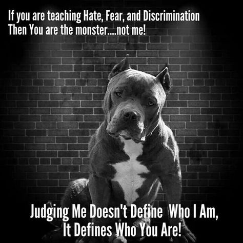 So much truth in this, we are the monsters not them. They can give so much unconditional love, just open your hearts and minds. They depend so much on us. Give them the love and kindness they so deserve ❤️ Pitbull Facts, Pitbull Quotes, Love And Kindness, Pit Bull Love, Pitbull Lover, Pitbull Puppies, Bully Breeds, Bull Terrier Dog, Pit Bull Terrier